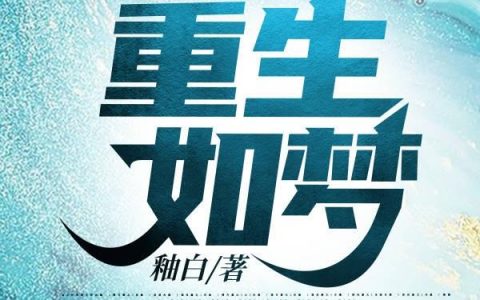 任康,小王小说全文免费阅读，《重生如梦》最新章节