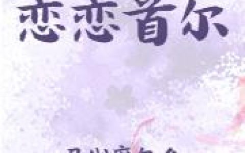 小说《恋恋首尔》张雪 赵冰完整版免费阅读