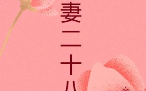 《娇妻二十八》小说最新章节，李哲 吴菲全文免费在线阅读