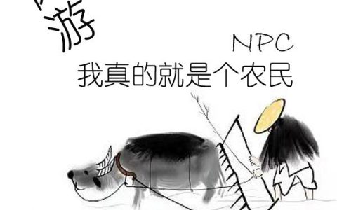 《网游：我真的就是个农民NPC》小李 火焰领主小说免费阅读