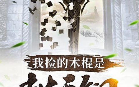 张茂 杜贵小说全文阅读，《我捡的木棍是封天锏》最新章节
